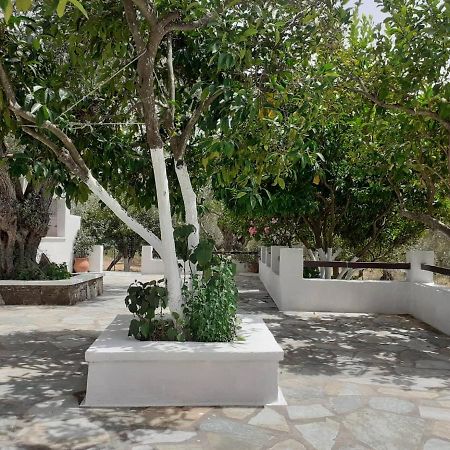 Villa Tillia Panormos  Exterior photo