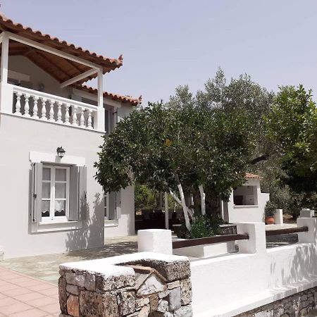 Villa Tillia Panormos  Exterior photo