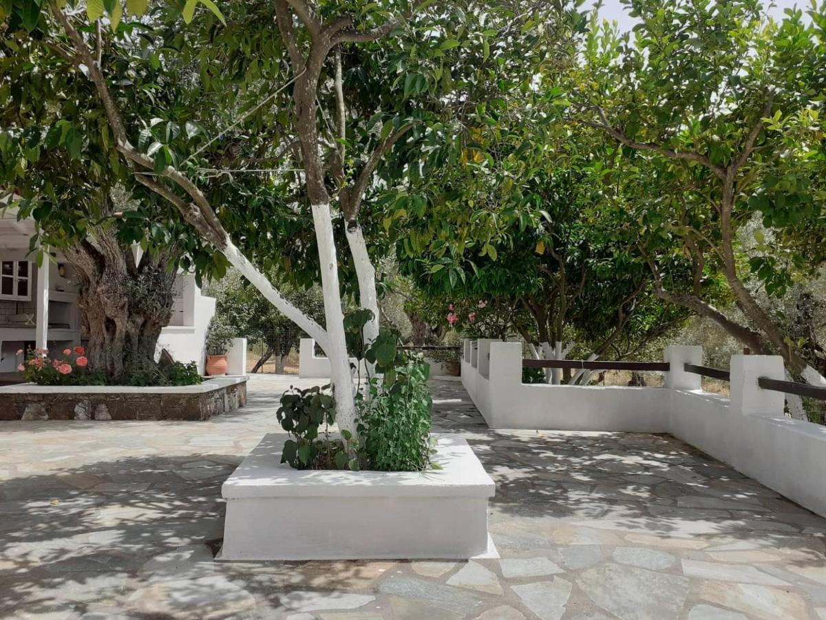 Villa Tillia Panormos  Exterior photo