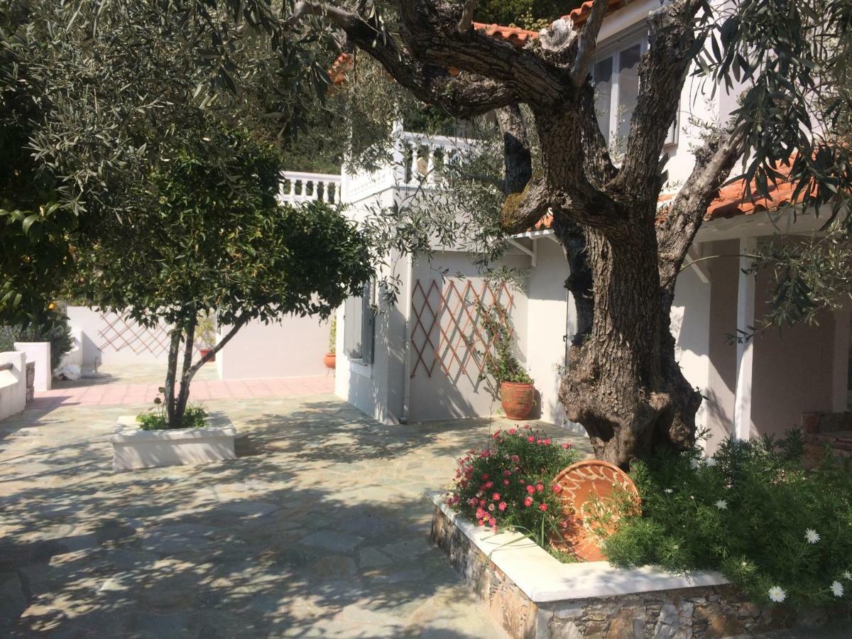 Villa Tillia Panormos  Exterior photo