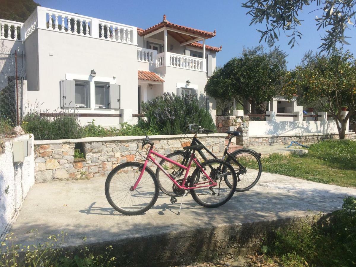 Villa Tillia Panormos  Exterior photo
